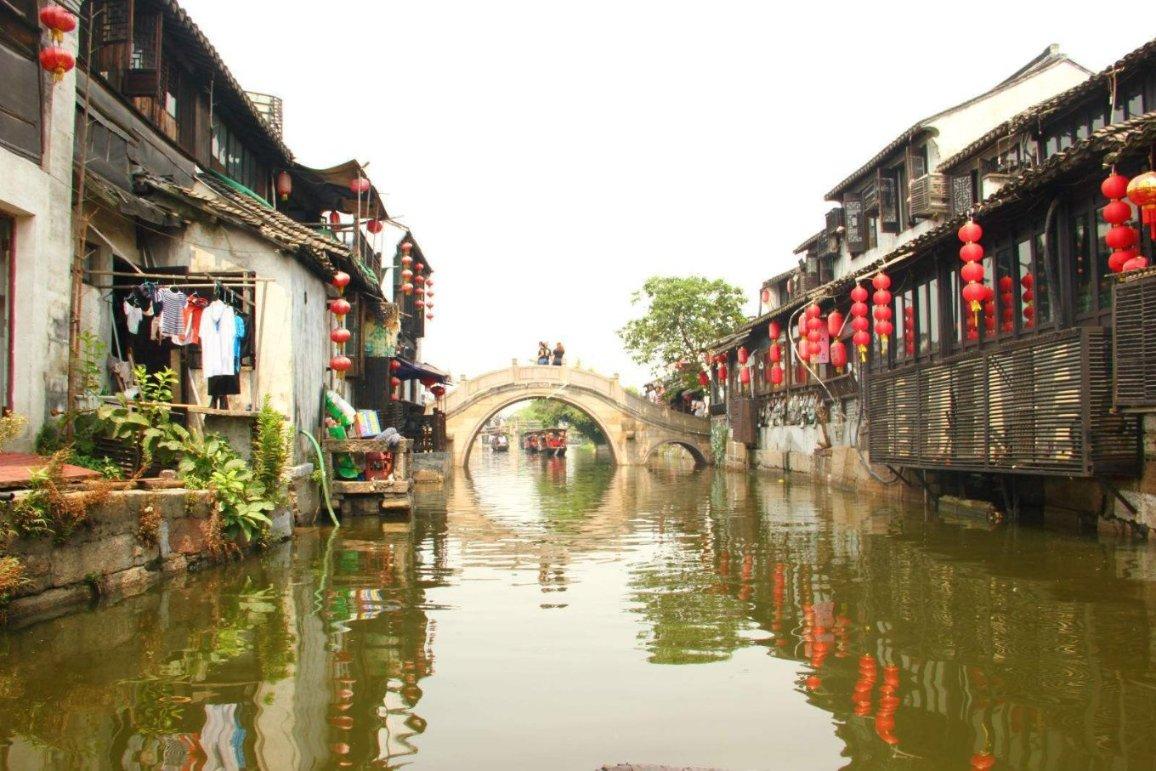 动物帮帮忙保卫家园